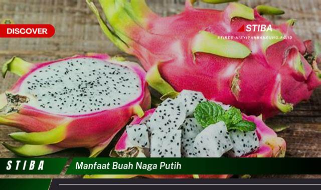 Inilah 10 Manfaat Buah Naga Putih yang Jarang Diketahui