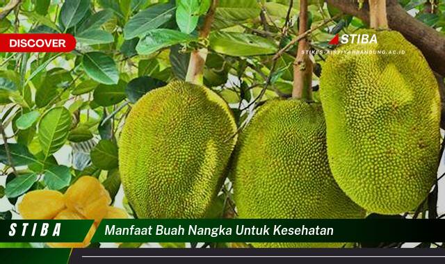 Temukan 9 Manfaat Buah Nangka untuk Kesehatan yang Tak Disangka