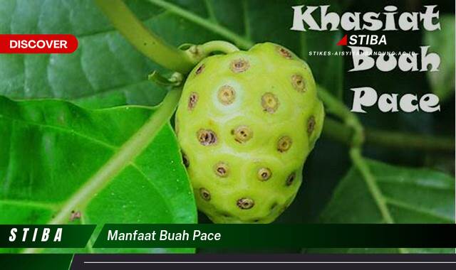 Inilah 8 Manfaat Buah Pace yang Wajib Kamu Ketahui