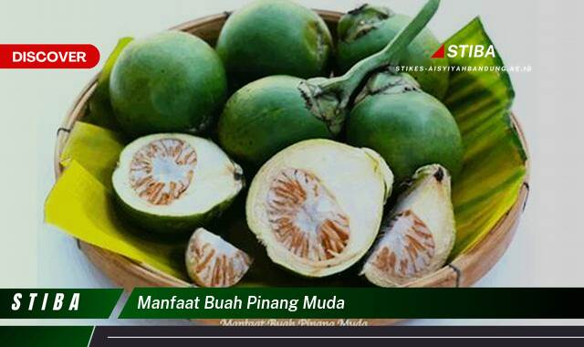 Ketahui 7 Manfaat Buah Pinang Muda yang Bikin Kamu Penasaran