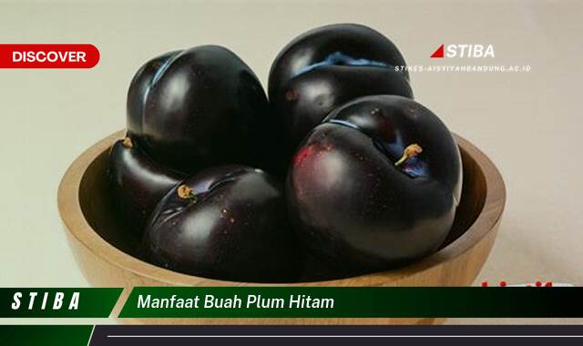 Ketahui 7 Manfaat Buah Plum Hitam yang Bikin Kamu Penasaran