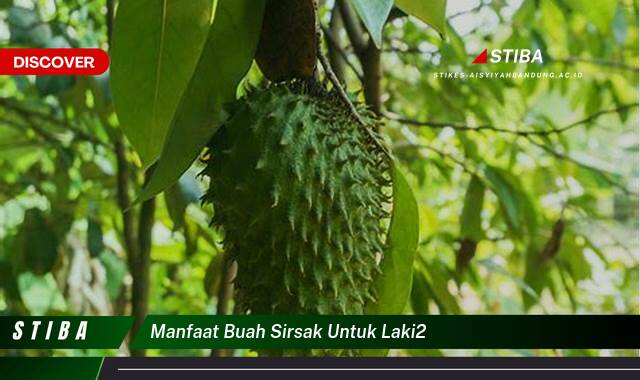 Inilah 10 Manfaat Buah Sirsak untuk Laki,laki yang Jarang Diketahui