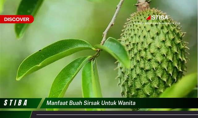 Inilah 10 Manfaat Buah Sirsak untuk Wanita yang Wajib Kamu Intip