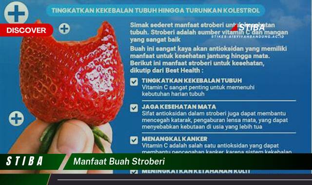 Ketahui 10 Manfaat Buah Stroberi yang Wajib Kamu Ketahui