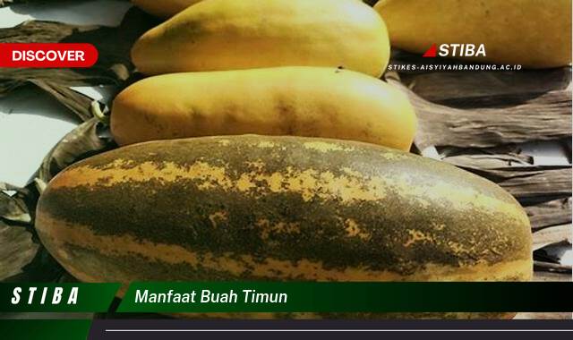 Ketahui 8 Manfaat Buah Timun yang Wajib Kamu Ketahui