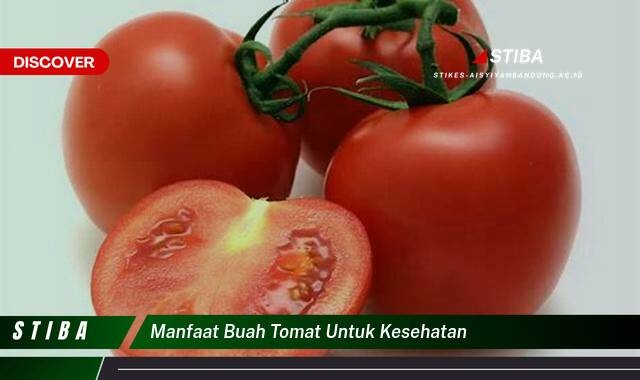 Inilah 8 Manfaat Buah Tomat untuk Kesehatan yang Wajib Kamu Intip