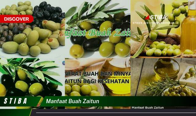 Ketahui 10 Manfaat Buah Zaitun yang Bikin Kamu Penasaran