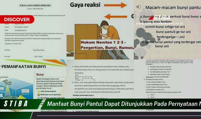 Temukan 10 Manfaat Bunyi Pantul yang Jarang Diketahui