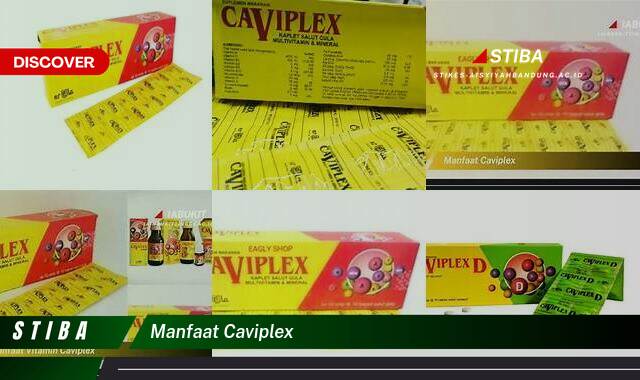 Ketahui 9 Manfaat Caviplex yang Tak Semua Orang Tau Ketahui 9 Manfaat Caviplex yang Tak Semua Orang Tau