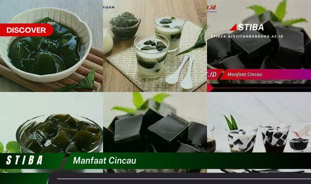 Ketahui 8 Manfaat Cincau yang Jarang Diketahui