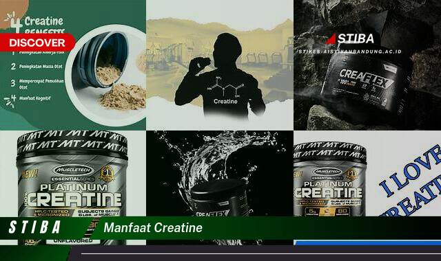 Ketahui 7 Manfaat Creatine yang Wajib Kamu Intip Ketahui 7 Manfaat Creatine yang Wajib Kamu Intip