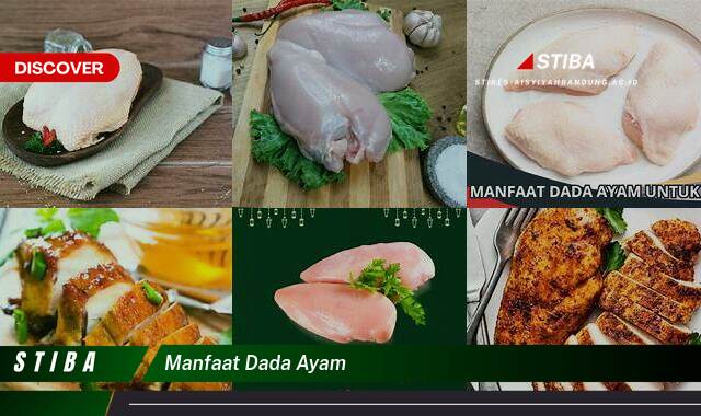 Inilah 9 Manfaat Dada Ayam yang Jarang Diketahui