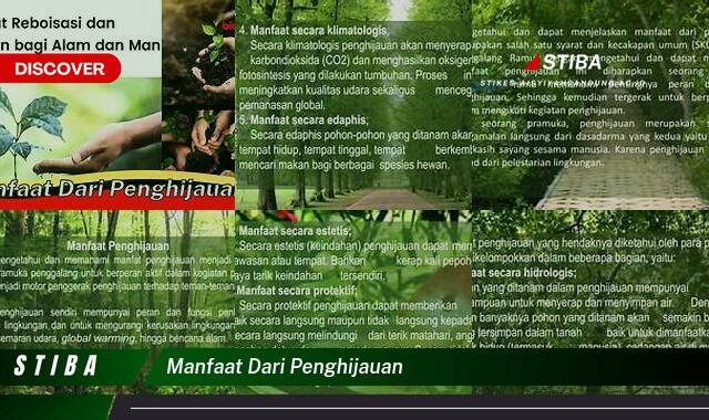 Inilah 9 Manfaat Penghijauan yang Jarang Diketahui