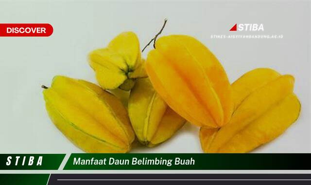 Inilah 8 Manfaat manfaat daun belimbing buah yang tidak Semua Orang Tau