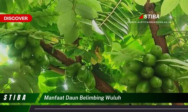 Ketahui 8 Manfaat Daun Belimbing Wuluh yang Jarang Diketahui