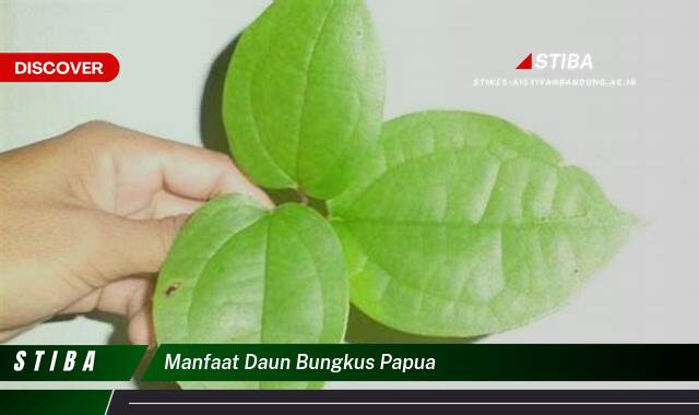 Inilah 9 Manfaat manfaat daun bungkus papua yang Jarang Diketahui
