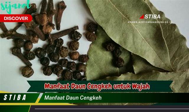 Temukan 8 Manfaat manfaat daun cengkeh yang Wajib Kamu Intip