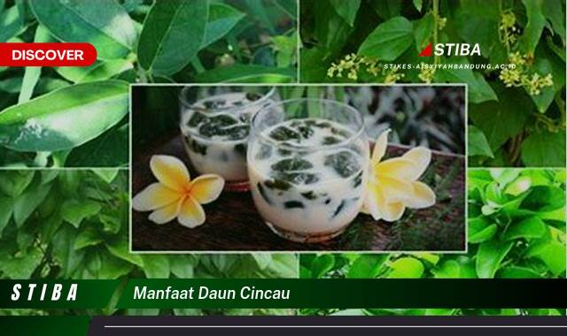 Temukan 8 Manfaat Daun Cincau yang Jarang Diketahui