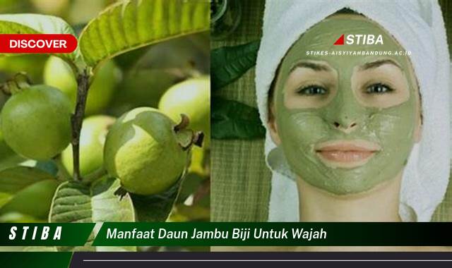 Ketahui 10 Manfaat Daun Jambu Biji Untuk Wajah yang Bikin Kamu Penasaran