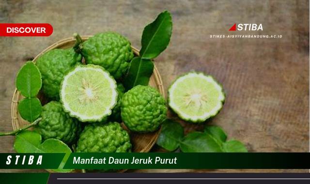 Inilah 8 Manfaat Daun Jeruk Purut yang Bikin Kamu Penasaran