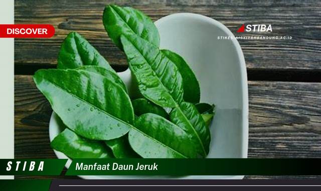 Temukan 9 Manfaat manfaat daun jeruk yang Wajib kamu ketahui