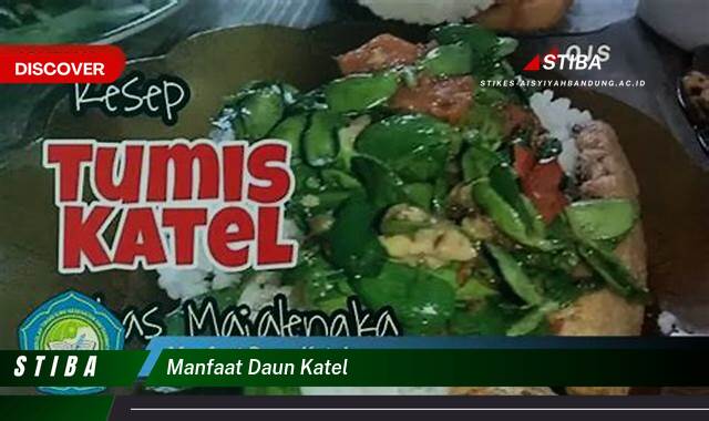 Ketahui 9 Manfaat manfaat daun katel yang Wajib Kamu Intip