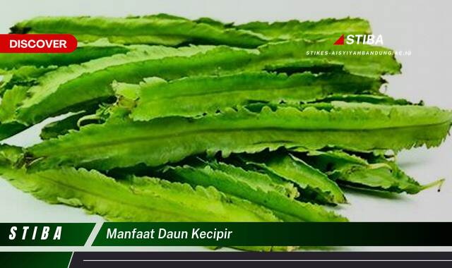 Temukan 9 Manfaat manfaat daun kecipir yang tidak Semua Orang Tau