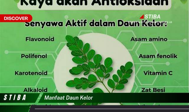 Ketahui 9 Manfaat Daun Kelor yang Jarang Diketahui