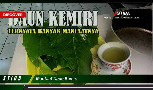 Temukan 8 Manfaat manfaat daun kemiri yang Bikin Kamu Penasaran