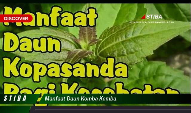 Inilah 9 Manfaat manfaat daun komba komba yang tidak Semua Orang Tau