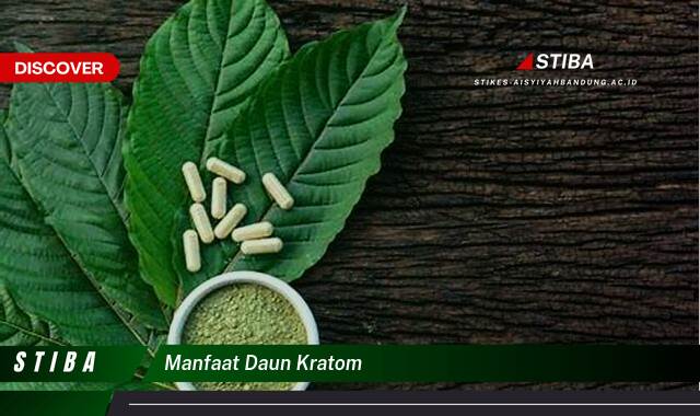 Temukan 8 Manfaat Daun Kratom yang Jarang Diketahui