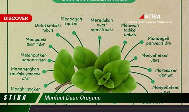 Inilah 10 Manfaat manfaat daun oregano yang tidak Semua Orang Tau