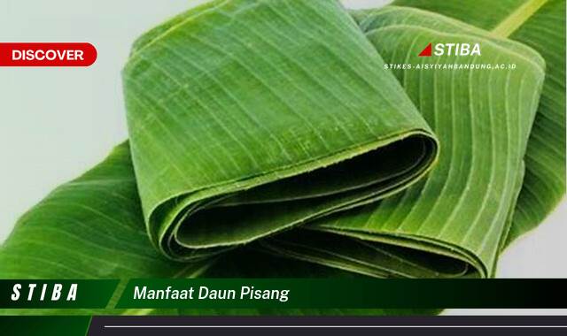 Inilah 8 Manfaat Daun Pisang yang Bikin Kamu Penasaran