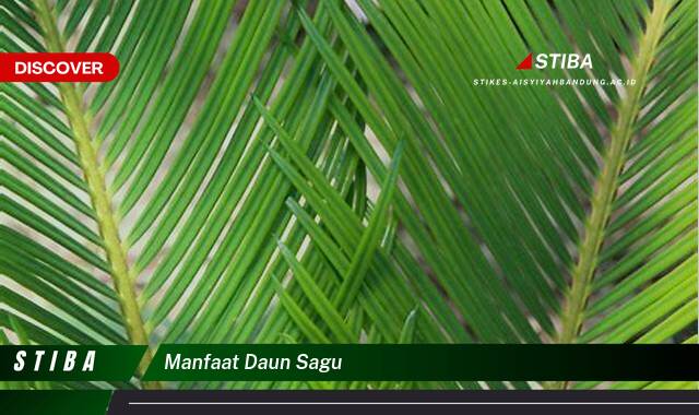 Temukan 8 Manfaat manfaat daun sagu yang tidak Semua Orang Tau