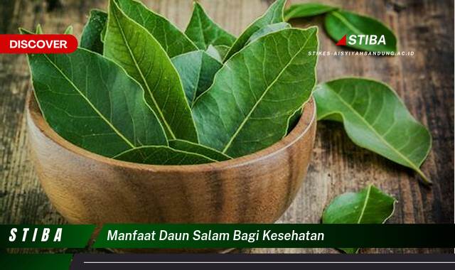 Inilah 8 Manfaat manfaat daun salam bagi kesehatan yang Wajib kamu ketahui