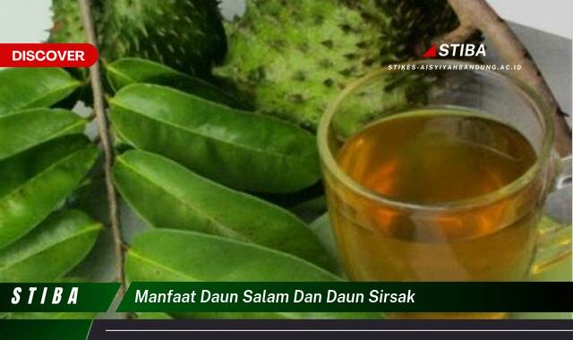 Temukan 8 Manfaat manfaat daun salam dan daun sirsak yang tidak Semua Orang Tau