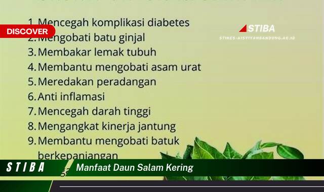 Ketahui 10 Manfaat manfaat daun salam kering yang tidak Semua Orang Tau