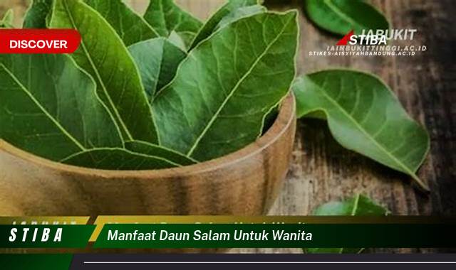 Inilah 10 Manfaat Daun Salam untuk Wanita yang Jarang Diketahui