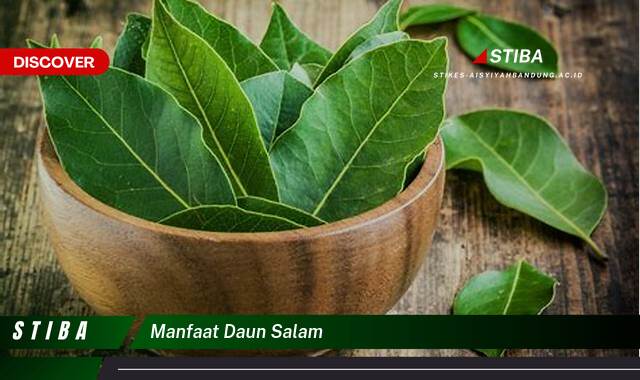 Temukan 8 Manfaat Daun Salam yang Wajib Kamu Ketahui
