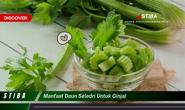 Temukan 8 Manfaat Daun Seledri untuk Ginjal yang Jarang Diketahui