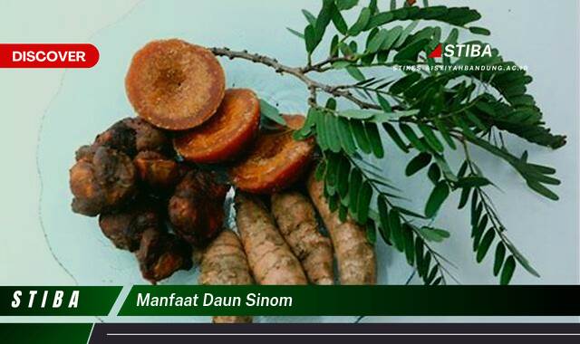 Inilah 9 Manfaat manfaat daun sinom yang Wajib kamu ketahui