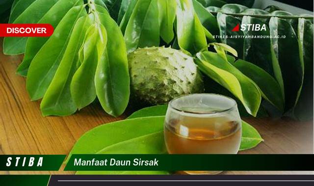 Temukan 8 Manfaat Daun Sirsak yang Wajib Kamu Intip