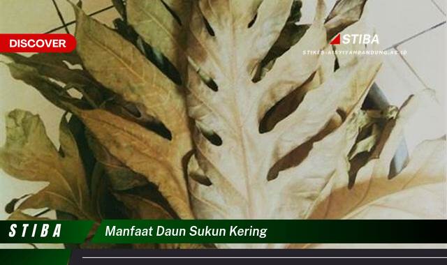 Ketahui 9 Manfaat Daun Sukun Kering yang Tak Terduga