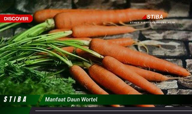 Ketahui 10 Manfaat manfaat daun wortel yang tidak Semua Orang Tau
