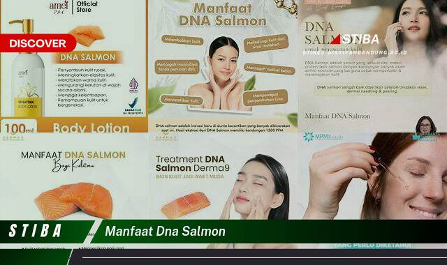 Temukan 8 Manfaat DNA Salmon yang Jarang Diketahui Temukan 8 Manfaat DNA Salmon yang Jarang Diketahui
