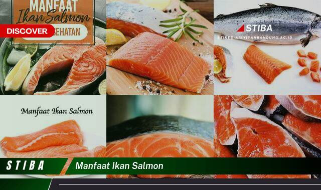 Inilah 9 Manfaat Ikan Salmon yang Wajib Kamu Ketahui Inilah 9 Manfaat Ikan Salmon yang Wajib Kamu Ketahui