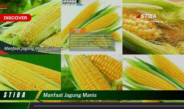 Temukan 8 Manfaat Jagung Manis yang Wajib Kamu Intip