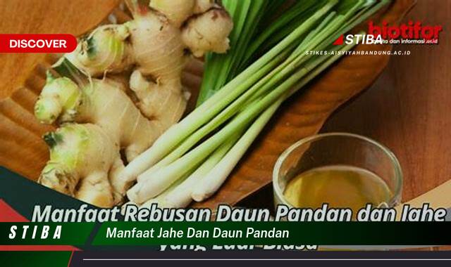 Inilah 8 Manfaat manfaat jahe dan daun pandan yang Jarang Diketahui