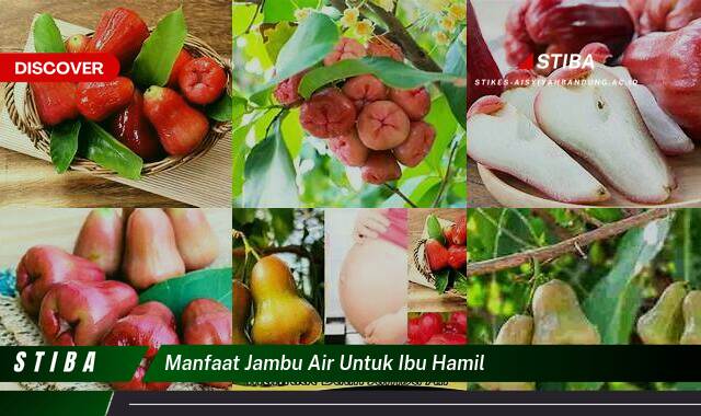 Temukan 9 Manfaat Jambu Air untuk Ibu Hamil yang Bikin Kamu Penasaran Temukan 9 Manfaat Jambu Air untuk Ibu Hamil yang Bikin Kamu Penasaran