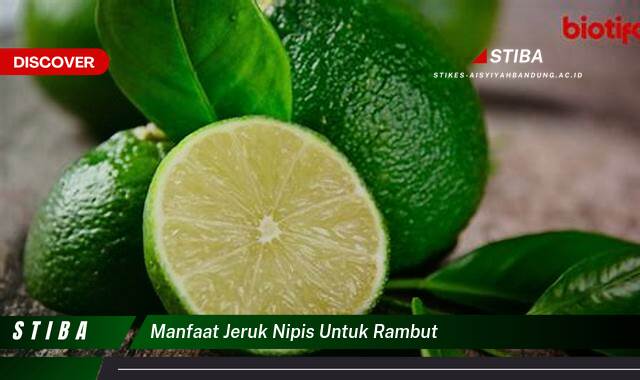 Ketahui 9 Manfaat Jeruk Nipis untuk Rambut yang Jarang Diketahui